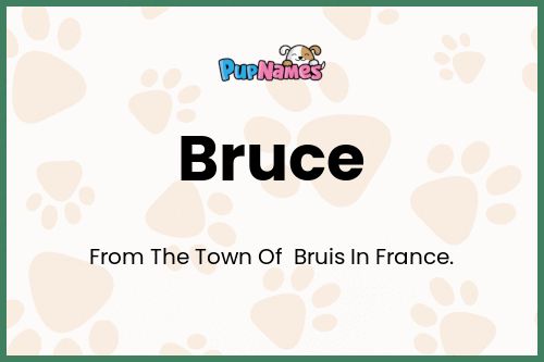 Bruce dog name meaning