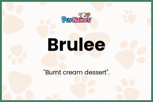 Brulee dog name meaning