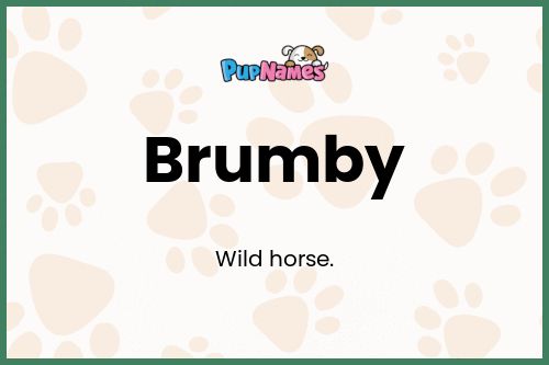 Brumby dog name meaning