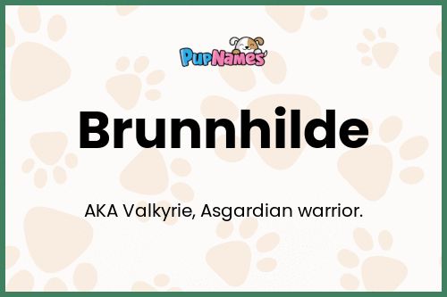 Brunnhilde dog name meaning