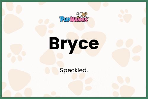 Bryce dog name meaning