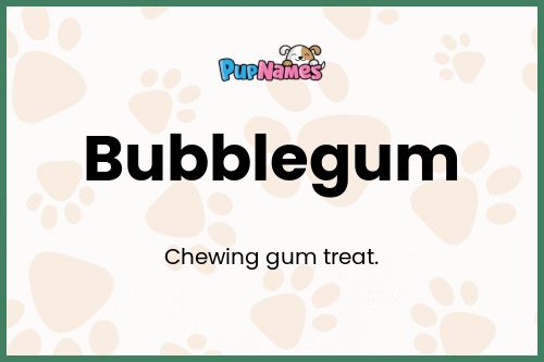 Bubblegum dog name meaning