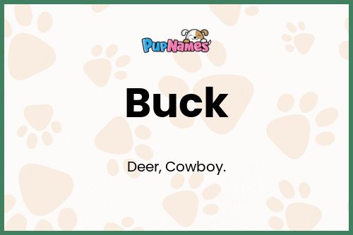 Buck dog name meaning