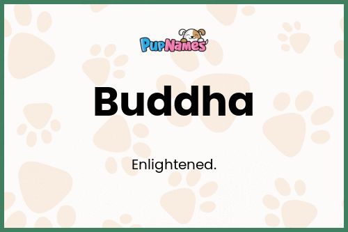 Buddha dog name meaning