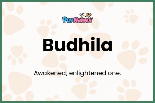 Budhila dog name meaning