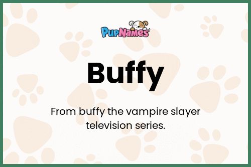 Buffy dog name meaning