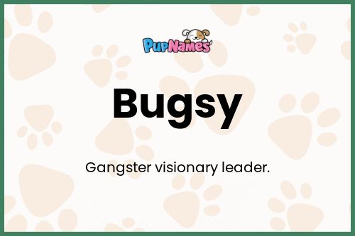 Bugsy dog name meaning