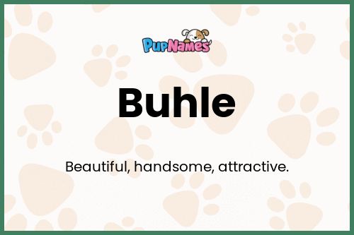 Buhle dog name meaning