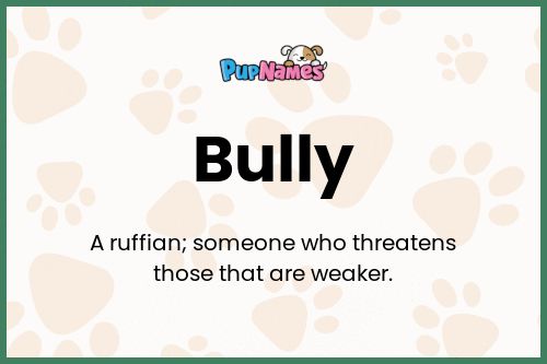 Bully dog name meaning