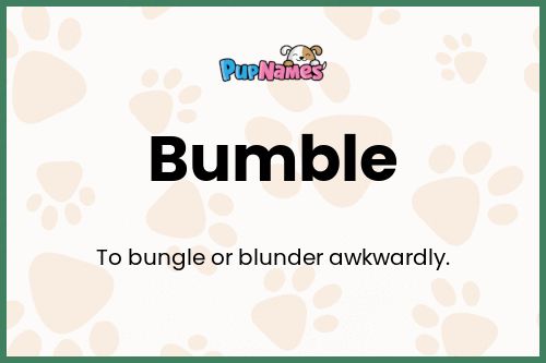 Bumble dog name meaning