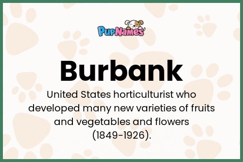 Burbank dog name meaning