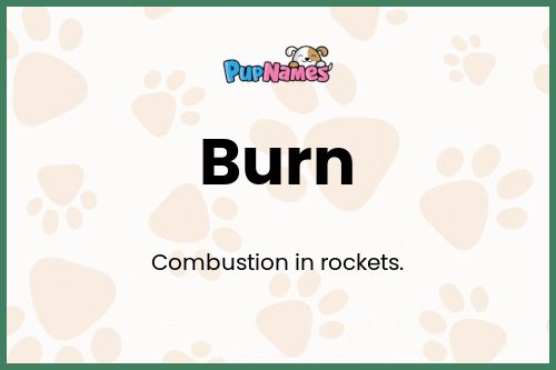 Burn dog name meaning