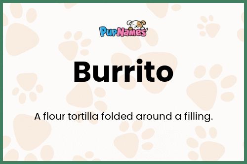 Burrito dog name meaning