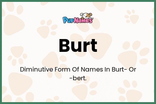 Burt dog name meaning