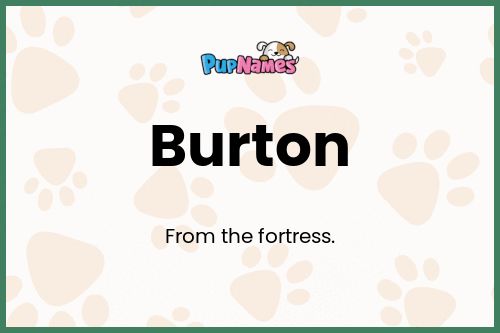 Burton dog name meaning