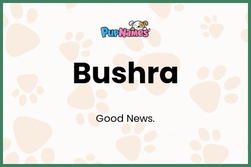 Bushra dog name meaning