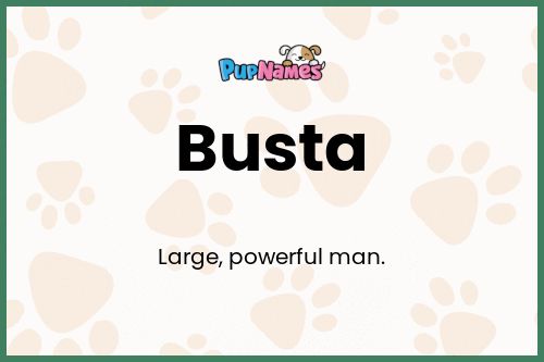 Busta dog name meaning