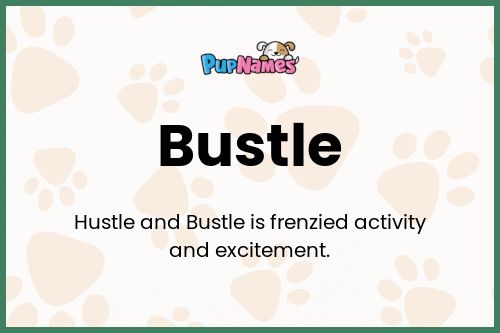 Bustle dog name meaning