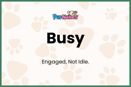 Busy dog name meaning