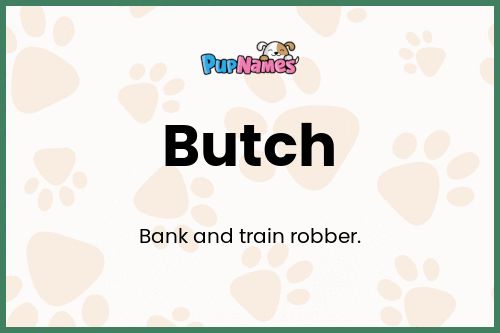 Butch dog name meaning