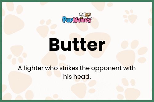 Butter dog name meaning