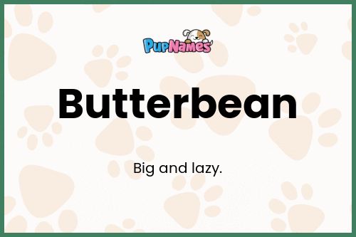 Butterbean dog name meaning