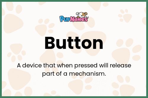 Button dog name meaning