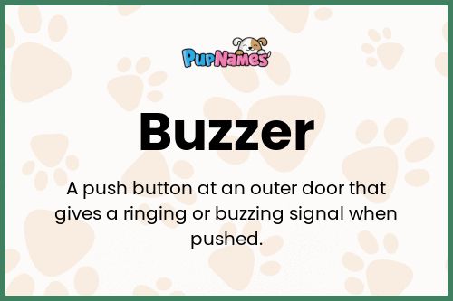 Buzzer dog name meaning