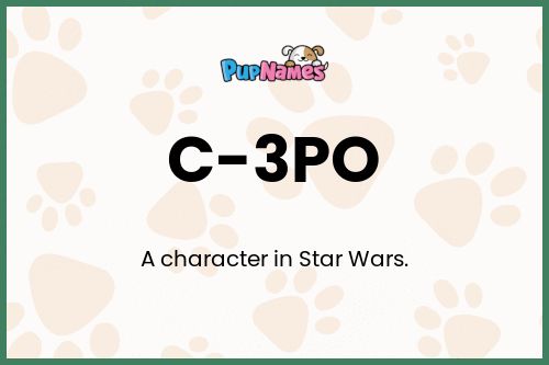 C-3PO dog name meaning