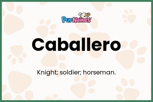 Caballero dog name meaning