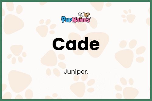 Cade dog name meaning