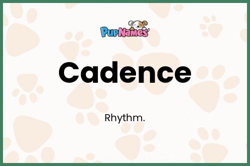 Cadence dog name meaning