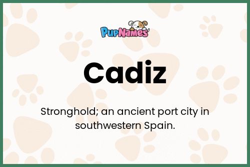 Cadiz dog name meaning