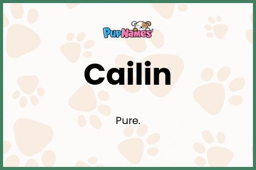 Cailin dog name meaning