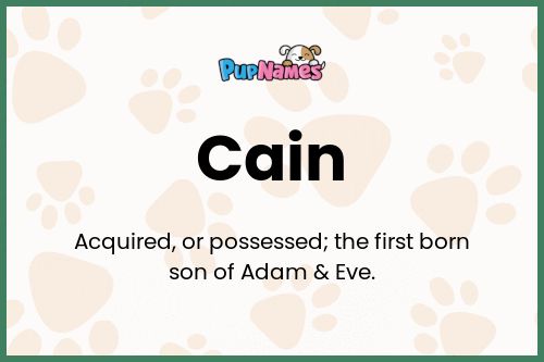 Cain dog name meaning