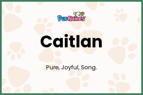 Caitlan dog name meaning