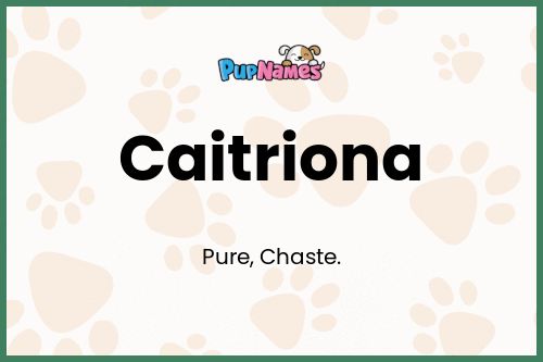 Caitriona dog name meaning