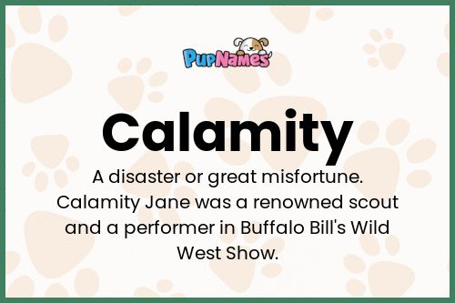 Calamity dog name meaning