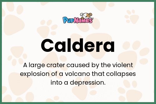 Caldera dog name meaning