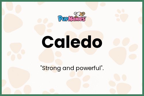 Caledo dog name meaning