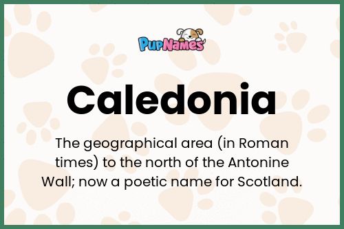 Caledonia dog name meaning