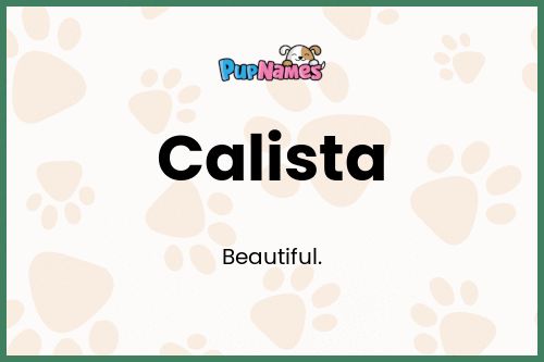Calista dog name meaning
