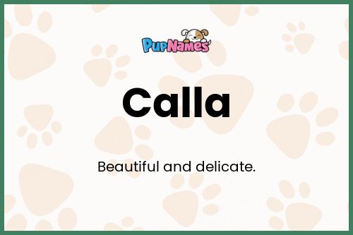 Calla dog name meaning