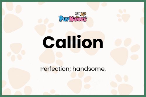 Callion dog name meaning