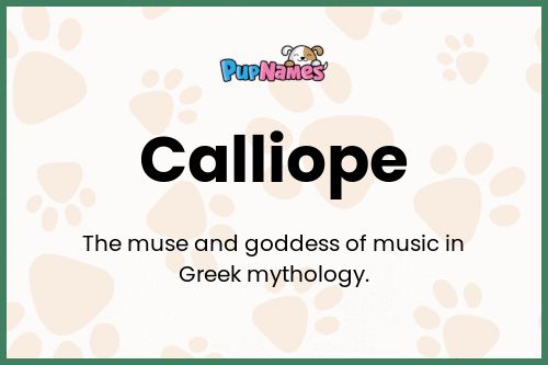 Calliope dog name meaning