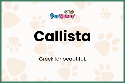 Callista dog name meaning