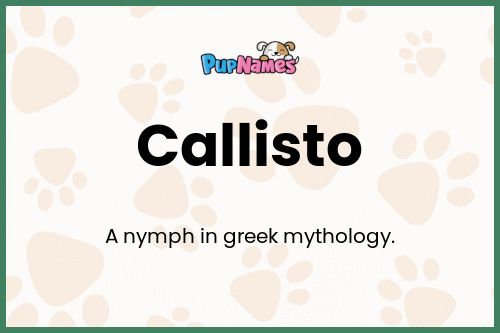 Callisto dog name meaning