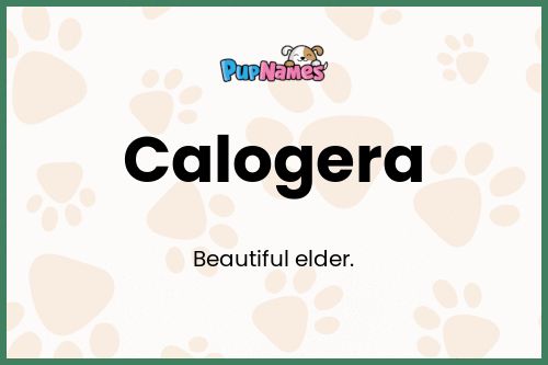 Calogera dog name meaning