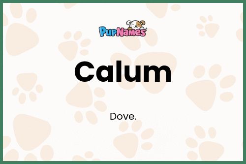 Calum dog name meaning