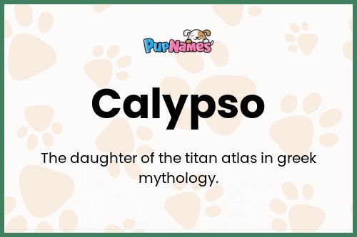Calypso dog name meaning